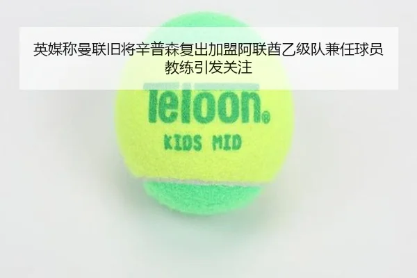 img_1788166798531_2856_0_453.jpg